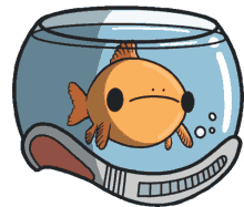 fish budz spacebud spacebudz cnft