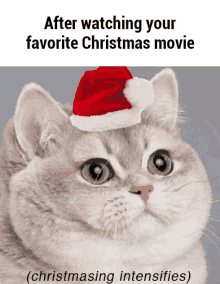 Reaction Cat Intensifies GIF - Reaction Cat Intensifies Christmas GIFs