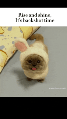 a cat wearing a bunny hat with the words rise and shine it 's backshot time on the bottom