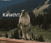 Kiriath GIF - Kiriath GIFs