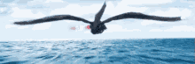 Do A Barrel-roll - How To Train Your Dragon GIF - How To Train Your Dragon GIFs