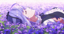 a girl with purple hair laying in a field of purple flowers