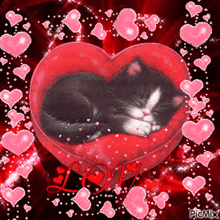 a black and white cat is sleeping in a red heart shaped pillow