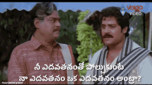 Edava Vedhava GIF - Edava Vedhava Telugu Memes GIFs