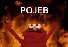 Pojeb Elmo GIF - Pojeb Elmo GIFs