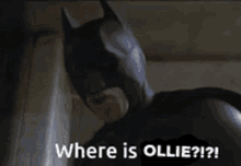 Ollie Batman GIF - Ollie Batman GIFs