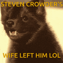 Steven Crowder GIF - Steven Crowder Steven Crowder GIFs