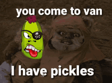 pickleverse pickle van