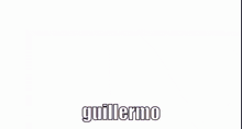 a group of anime characters are standing in front of a spotlight with the name guillermo written on the bottom