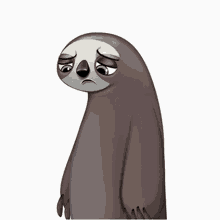sloth crying