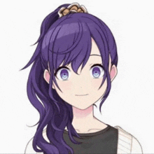 a girl with purple hair and blue eyes is wearing a ponytail and a black shirt .