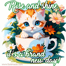 a picture of a kitten in a cup with the words rise and shine