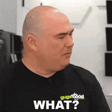 What Gustavo Tosta GIF - What Gustavo Tosta Guga Foods GIFs