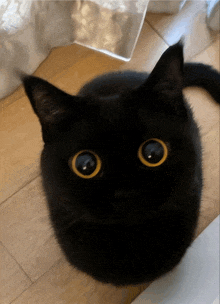 a close up of a black cat 's face with big yellow eyes