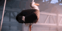 Power Move GIF - Storks Storks Movie Power Move GIFs