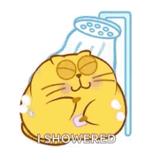 Cat Shower GIF - Cat Shower Taking A Bath GIFs