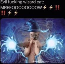 Evil Fucking Wizard Cat GIF - Evil Fucking Wizard Cat GIFs