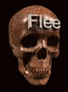 a brown skull with the word flee written on it .