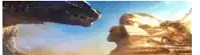 two dinosaurs are standing next to each other in the desert