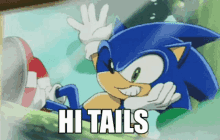 Hi Tails GIF - Hi Tails Sonic GIFs