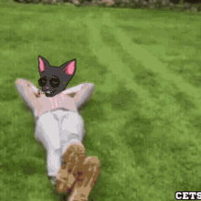 a cat wearing sunglasses is laying on the grass next to a pink golf cart