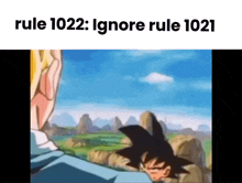 Goku Rules GIF - Goku Rules Rule 1021 GIFs