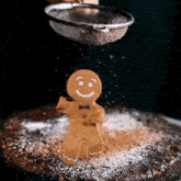 Swankaids Gingerbread Man GIF