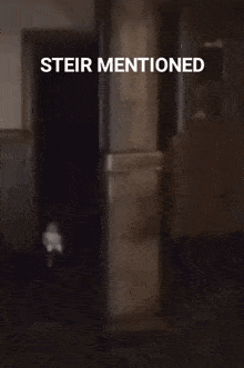 Steir Steir Mentioned GIF - Steir Steir Mentioned GIFs