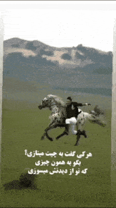 a man riding a horse in a grassy field with mountains in the background