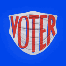 Voter Voting GIF - Voter Voting Vote GIFs