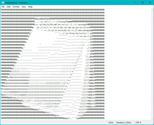 a computer screen shows a notepad file with a lot of text on it