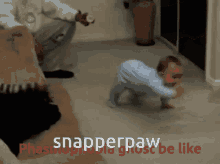 Snap Snapperpaw GIF