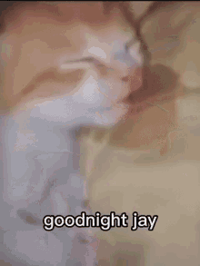 Goodnight Goodnight Jay GIF - Goodnight Goodnight Jay Goodnight My Love GIFs