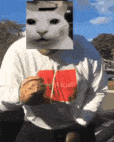 Canny Cat Uncanny Cat GIF - Canny Cat Uncanny Cat Mad Cat GIFs