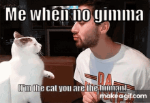 Gimma Cat GIF - Gimma Cat GIFs