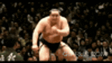 Asashoryu Sumo GIF - Asashoryu Sumo Sumo Wrestler GIFs
