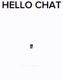 a stuffed animal with x 's on its eyes and the words hello chat written above it