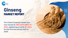 Ginseng Market Report 2024 GIF - Ginseng Market Report 2024 GIFs