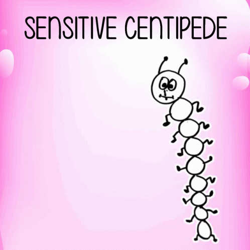 Sensitive Centipede