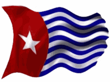 morning star west papua transparency