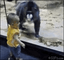 Animals Funny GIF - Animals Funny Monkey GIFs