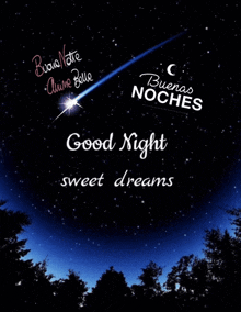 a night sky with a shooting star and the words " good night sweet dreams "