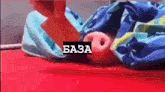 a pig is laying on a bed under a blanket with a person holding it .