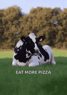 I Dont Care Cow GIF - I Dont Care Cow Cowdontcare GIFs