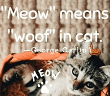 Meow Cats Love GIF
