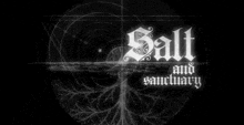 salt sactuary salt and sactuary