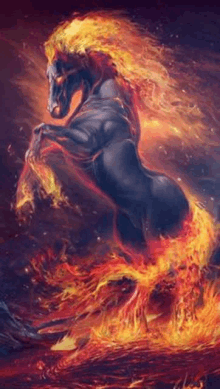 Fire Horse GIF - Fire Horse GIFs