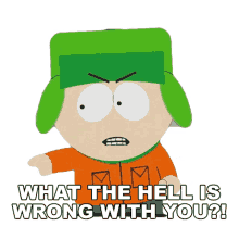 what the hell is wrong with you kyle broflovski south park s8e8 douche and turd