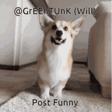 Gr E En T Un K Greentank GIF - Gr E En T Un K Greentank Will_post_funny GIFs