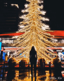 Christmas Tree Ela Kir GIF